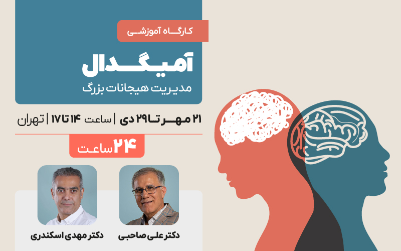 آمیگدال (مدیریت هیجانات بزرگ)