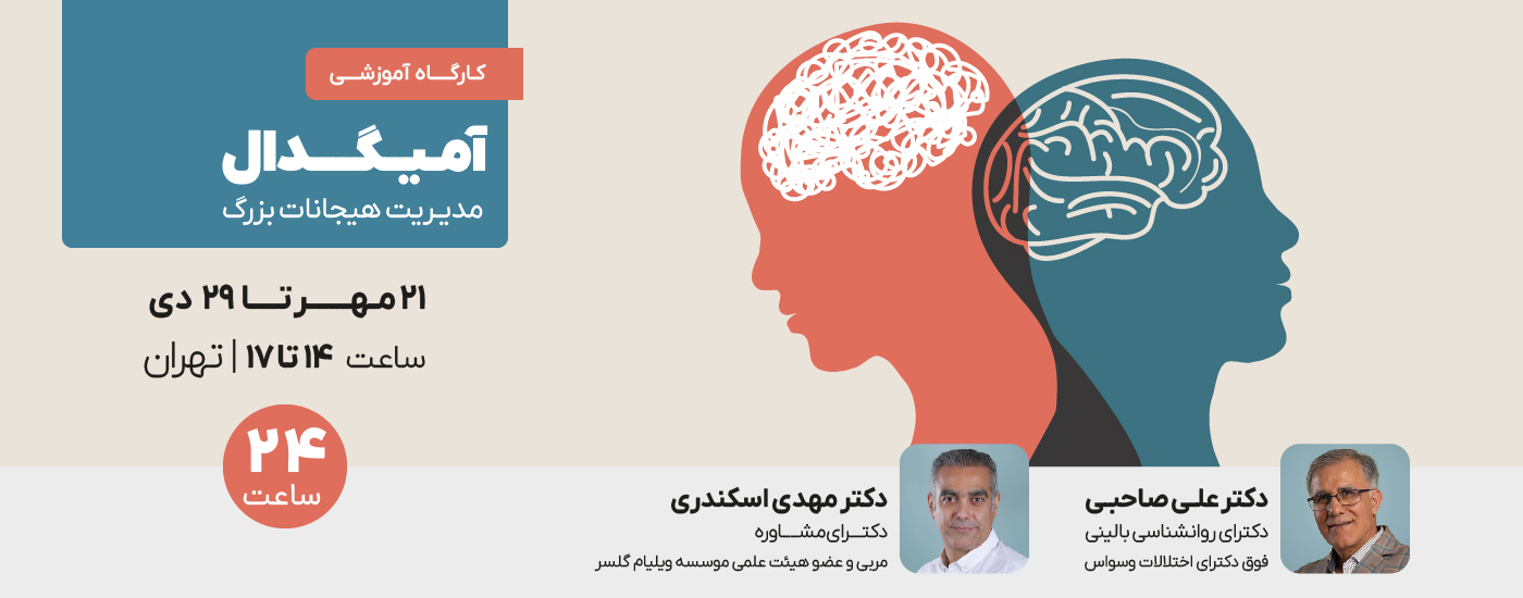 آمیگدال (مدیریت هیجانات بزرگ)